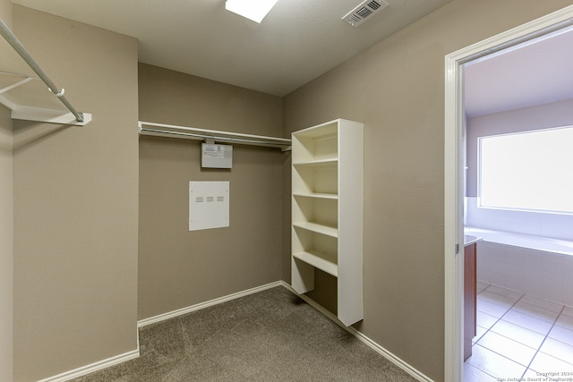 walk in closet with carpet flooring