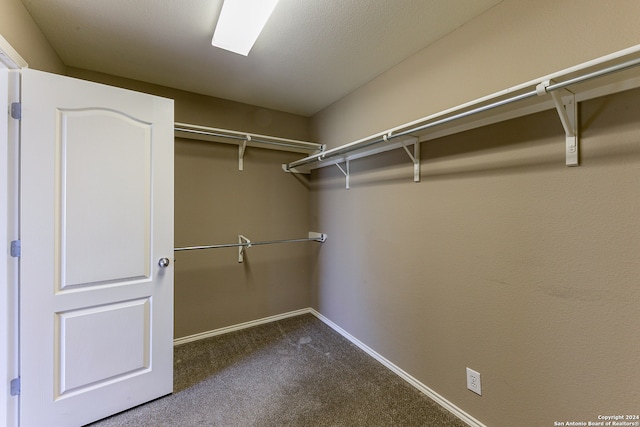 walk in closet featuring carpet flooring