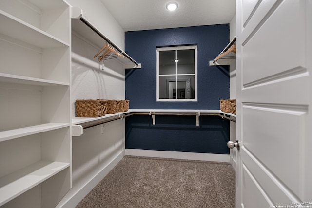 spacious closet featuring carpet flooring