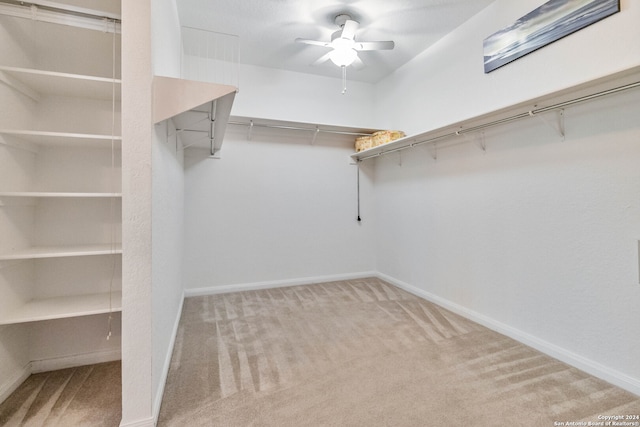 spacious closet featuring ceiling fan and carpet flooring