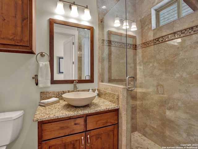 bathroom with vanity, walk in shower, and toilet