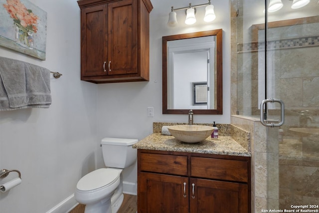 bathroom with vanity, toilet, and a shower with shower door