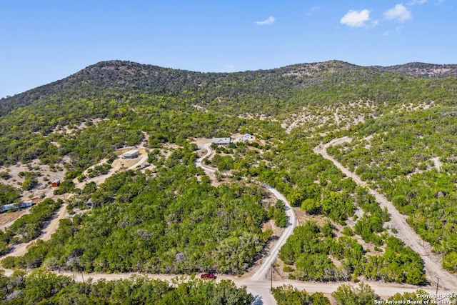 aerial view with a mountain view