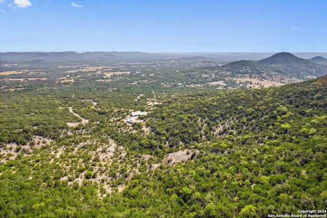 drone / aerial view featuring a mountain view