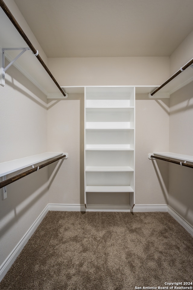 spacious closet with carpet