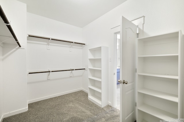 walk in closet with carpet floors