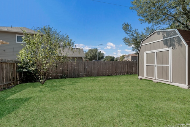 view of yard with a storage shed