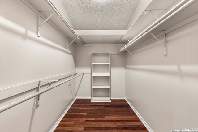 walk in closet featuring dark hardwood / wood-style flooring