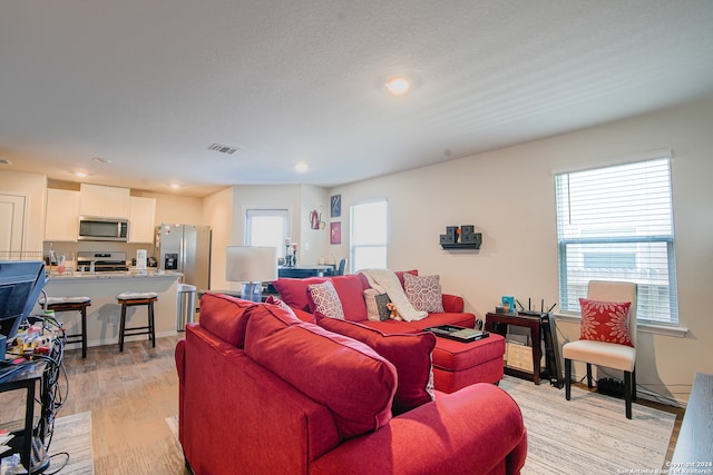 living room featuring light wood-type flooring