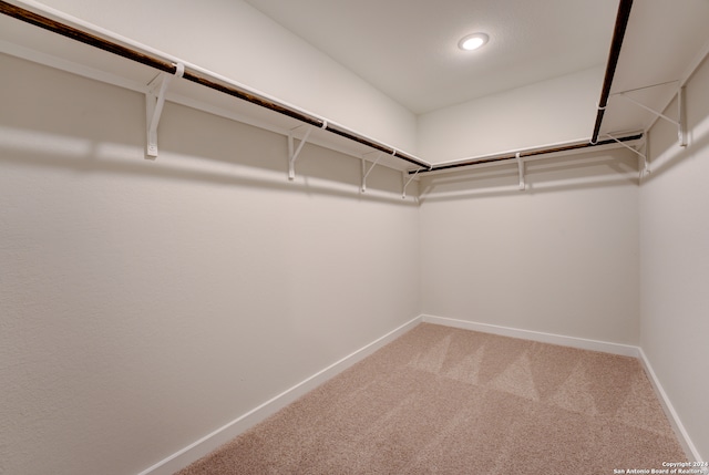 spacious closet featuring carpet flooring