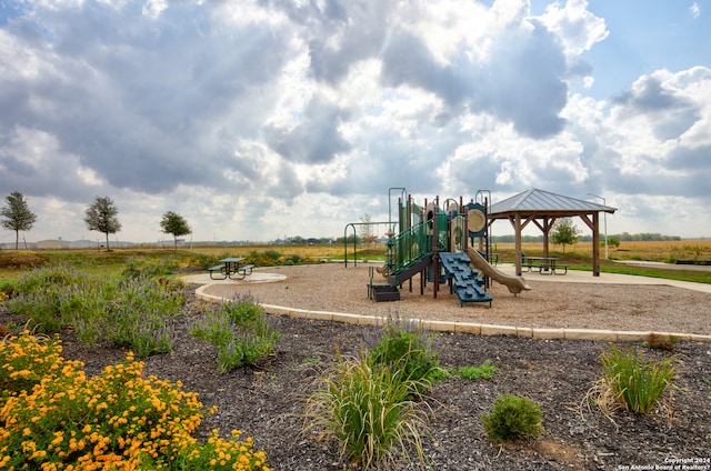 view of jungle gym