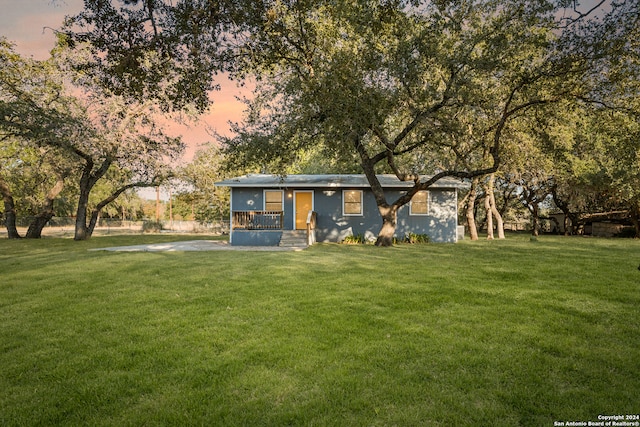 back house at dusk with a lawn