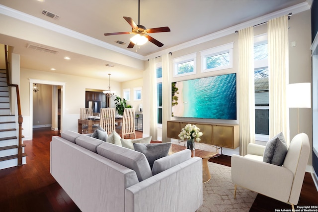 living room with dark wood-type flooring, crown molding, and ceiling fan with notable chandelier