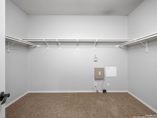 spacious closet featuring carpet floors