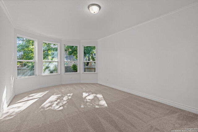 carpeted empty room featuring ornamental molding