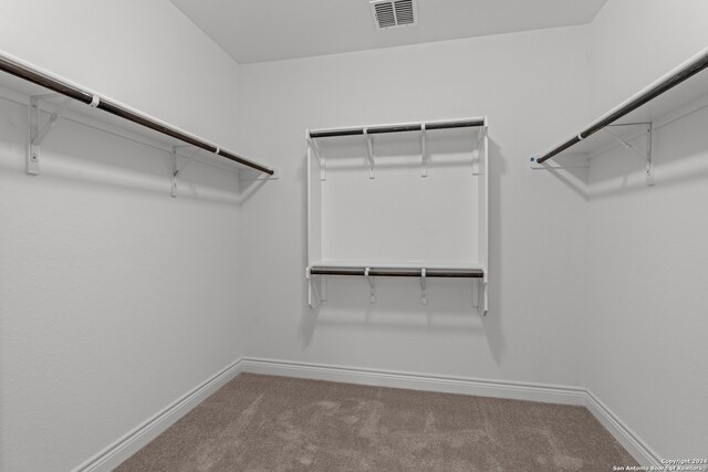 walk in closet with carpet flooring