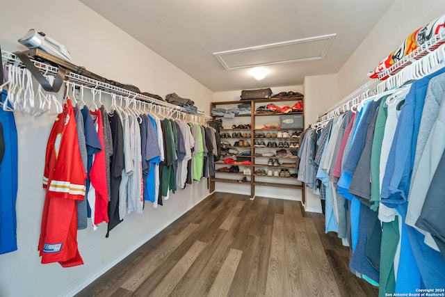 spacious closet with dark hardwood / wood-style floors