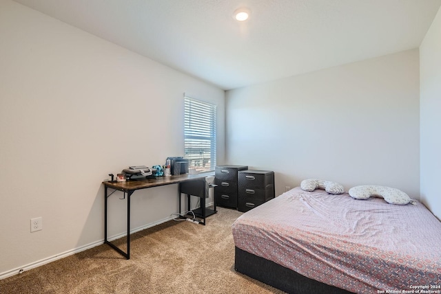 bedroom with light carpet