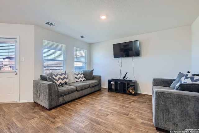 living room featuring a wealth of natural light, hardwood / wood-style floors, and a textured ceiling