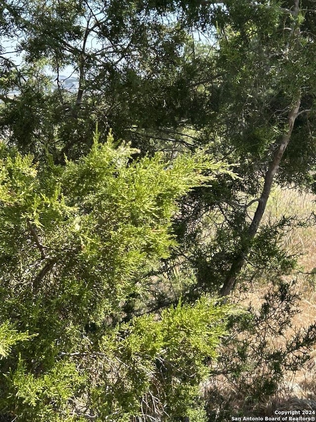 1047 Alta Vis, Canyon Lake, TX 78133