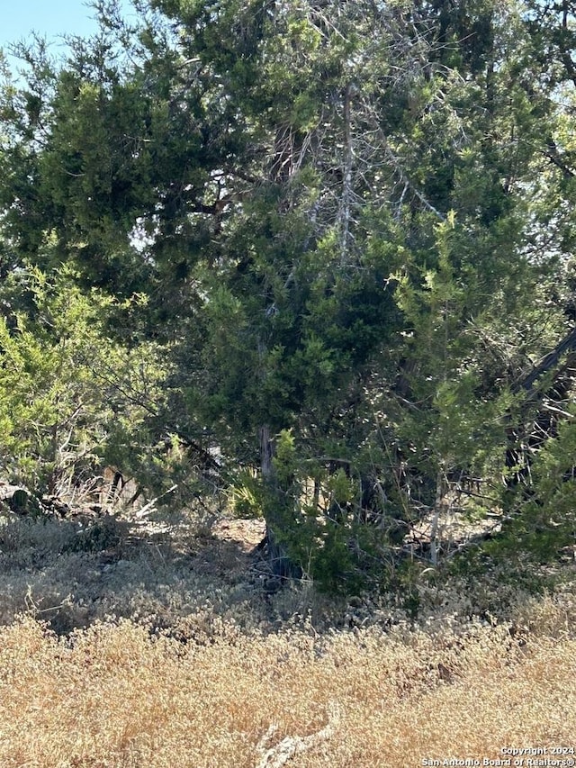 1047 Alta Vis, Canyon Lake, TX 78133