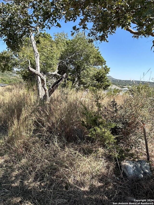 1047 Alta Vis, Canyon Lake, TX 78133