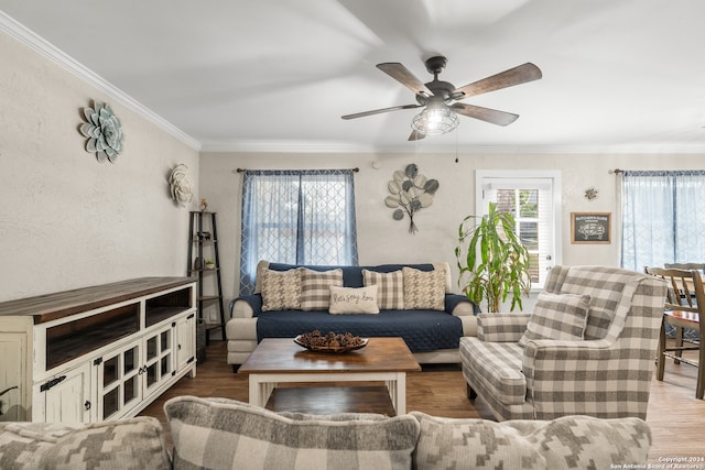 living room with crown molding, hardwood / wood-style floors, and ceiling fan