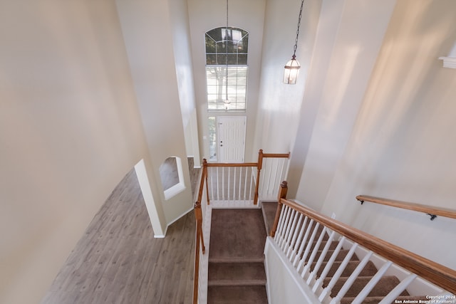 stairs featuring a high ceiling and wood-type flooring