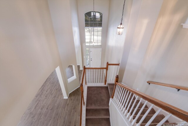 stairs featuring wood finished floors