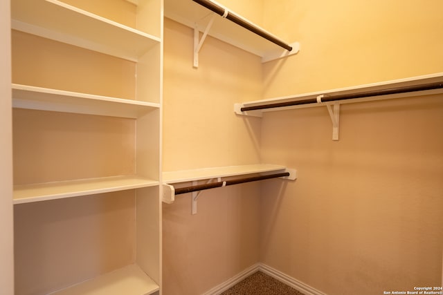 spacious closet with carpet flooring