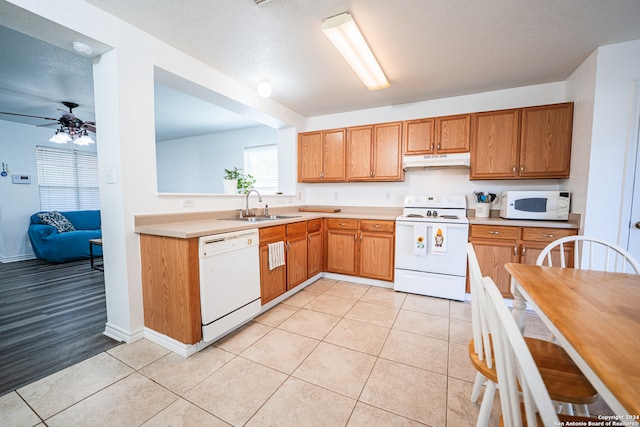 kitchen with ceiling fan, a textured ceiling, light wood-type flooring, sink, and white appliances