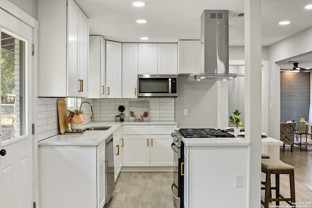 kitchen featuring ventilation hood, white cabinetry, stainless steel appliances, and sink