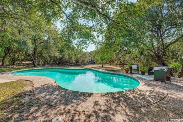 view of swimming pool featuring a patio