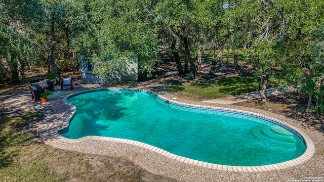 view of swimming pool