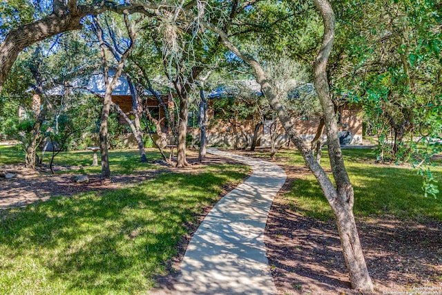 view of home's community featuring a yard