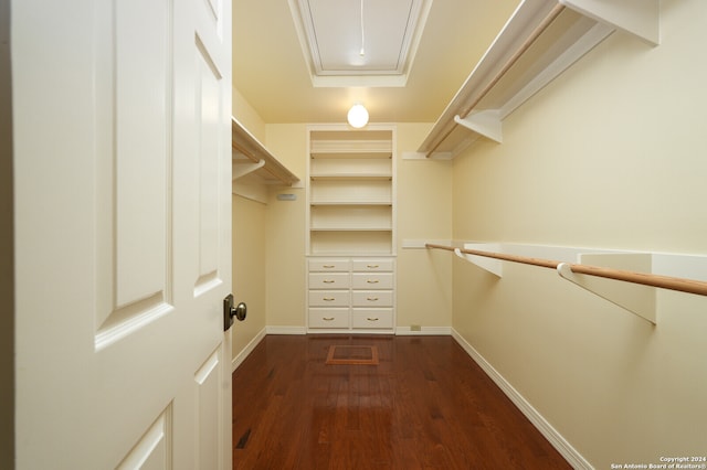 spacious closet with dark hardwood / wood-style flooring