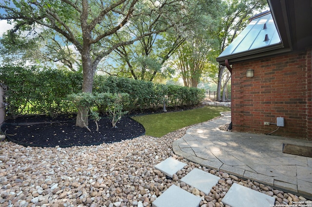 view of yard featuring a patio area