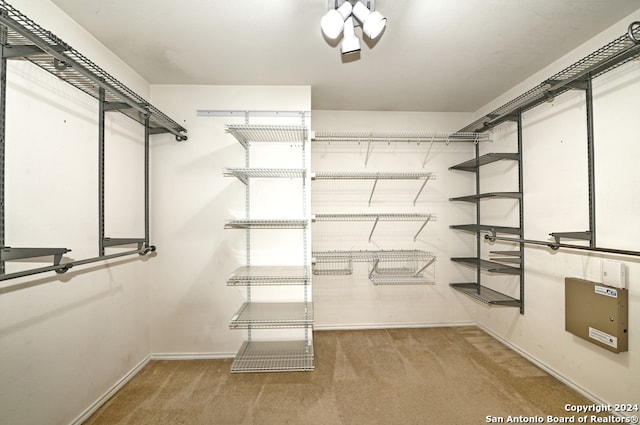 spacious closet featuring carpet floors