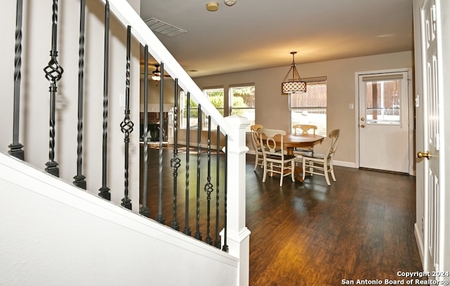 dining space with dark hardwood / wood-style flooring