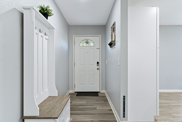 mudroom with hardwood / wood-style floors