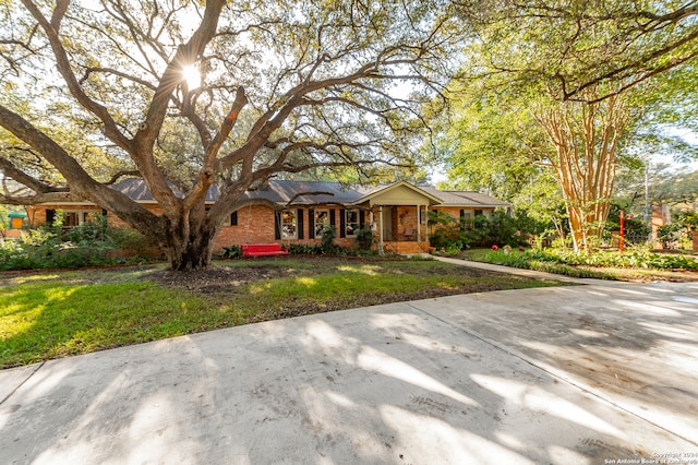 ranch-style house with a front yard