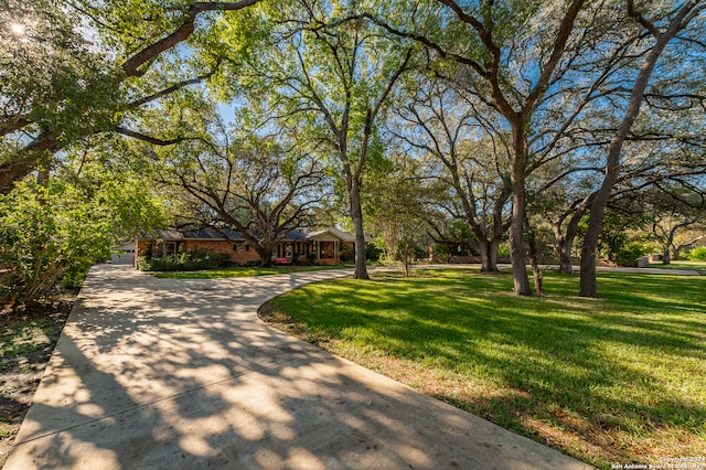 view of front of house with a front yard