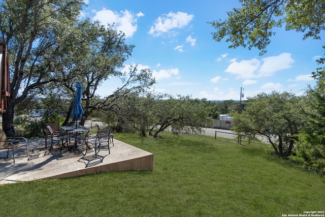 view of yard featuring a patio