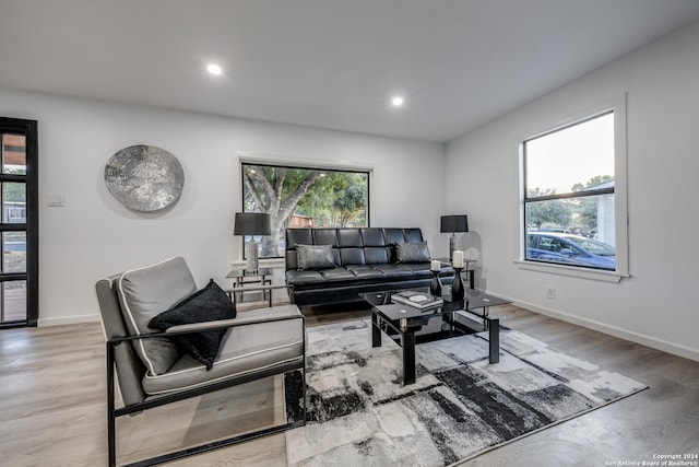 living room with light hardwood / wood-style floors and a healthy amount of sunlight