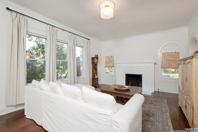 living room with dark wood-type flooring, crown molding, and a healthy amount of sunlight