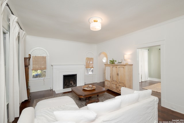 living room with ornamental molding and dark hardwood / wood-style floors