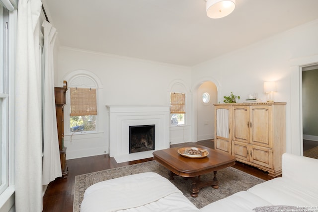 living room with crown molding and dark hardwood / wood-style floors