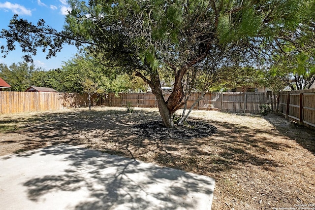 view of yard featuring a patio area