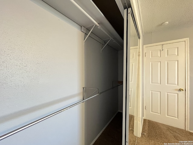 spacious closet with carpet flooring