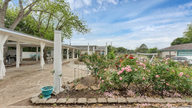 view of yard featuring a patio